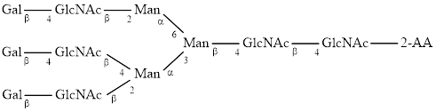A3G3 glycan (G3), 2-AA labelled